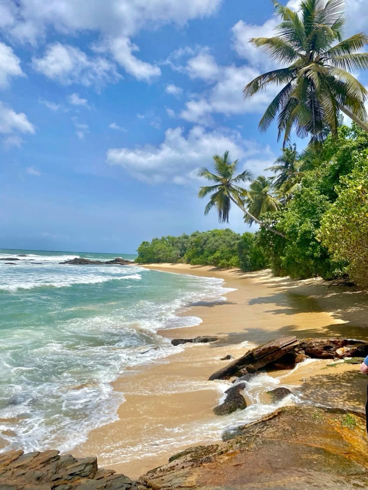 Beach & Wellness